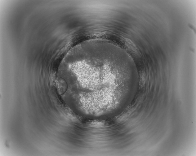 X0000094940236200712201122