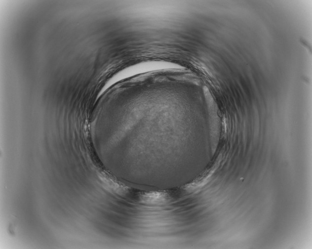 X0000094940237200712201122