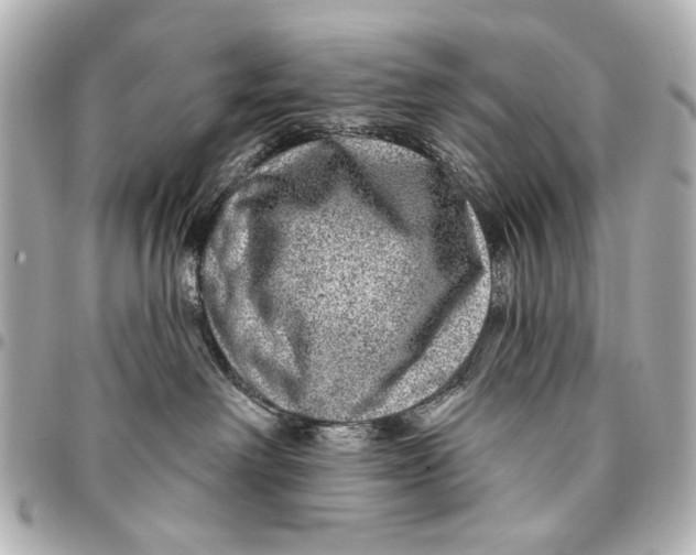 X0000094940238200712201121