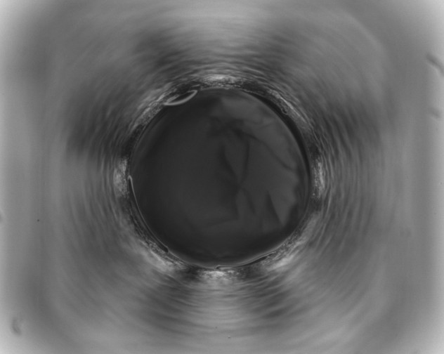 X0000094940239200712201121