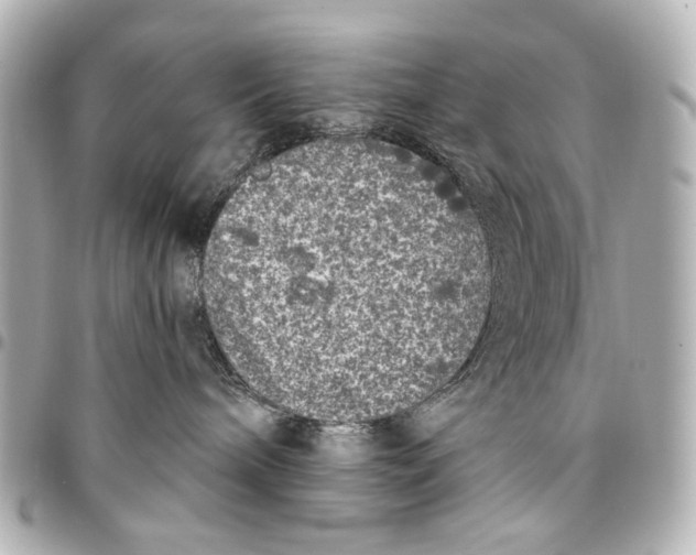 X0000094940240200712201121