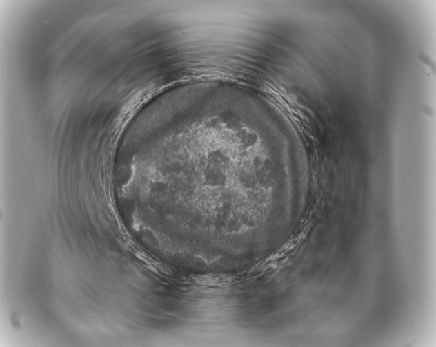 X0000094940241200712201121