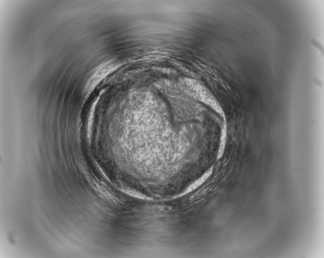 X0000094940242200712201121