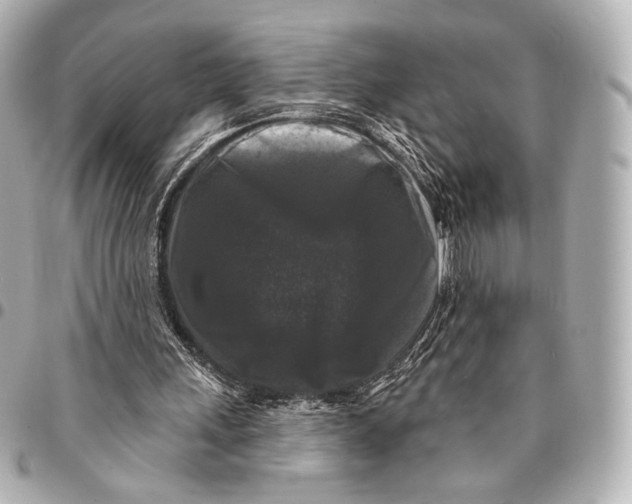 X0000094940243200712201121