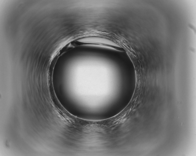 X0000094940244200712201121