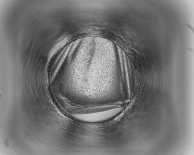 X0000094940245200712201121