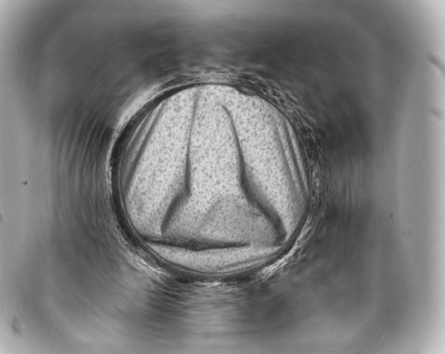 X0000094940246200712201121