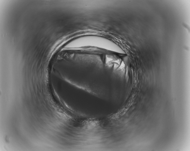 X0000094940247200712201121