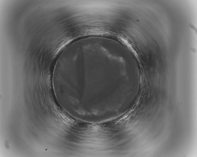 X0000094940249200712201121