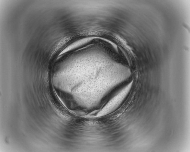 X0000094940250200712201121