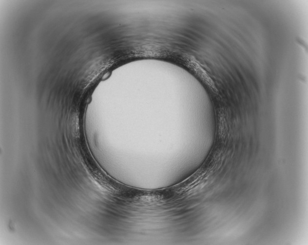 X0000094940251200712201121