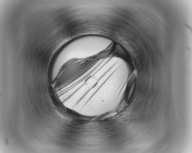 X0000094940252200712201121