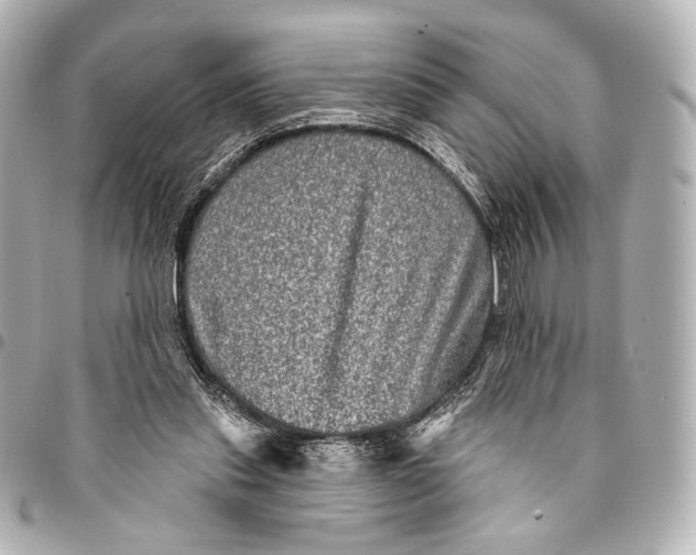 X0000094940253200712201121