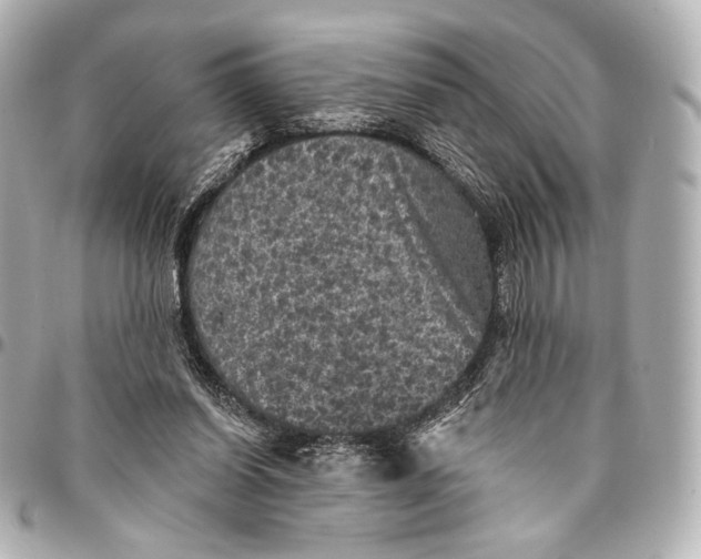 X0000094940254200712201121