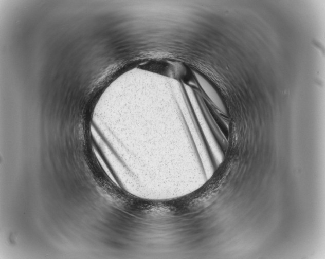 X0000094940256200712201121