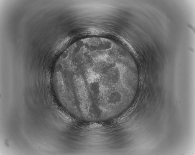 X0000094940257200712201121