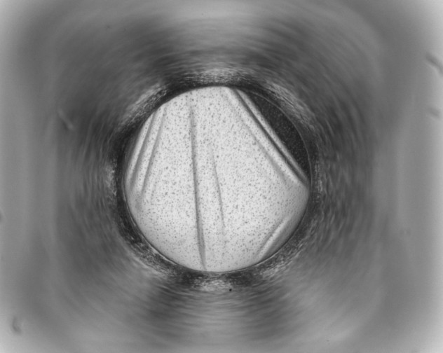 X0000094940258200712201121