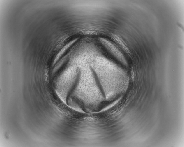 X0000094940259200712201121