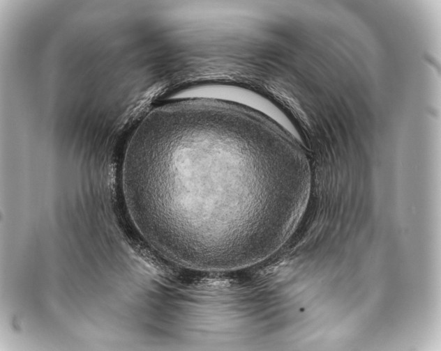 X0000094940260200712201121