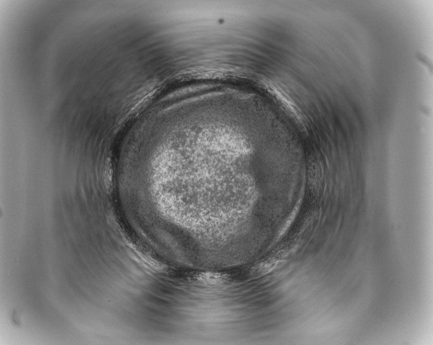 X0000094940261200712201121