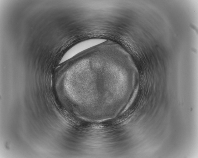 X0000094940263200712201121