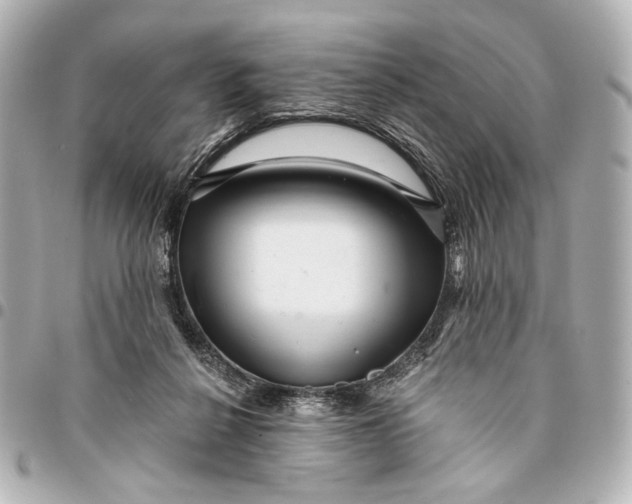 X0000094940264200712201121