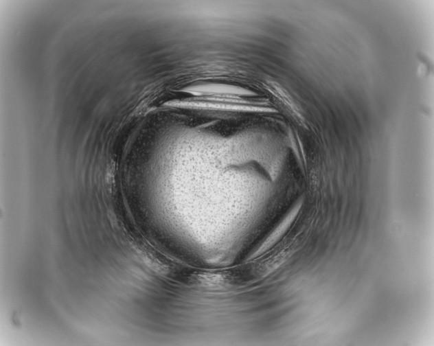 X0000094940265200712201121