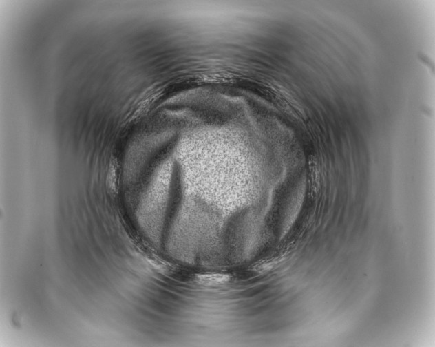 X0000094940266200712201121