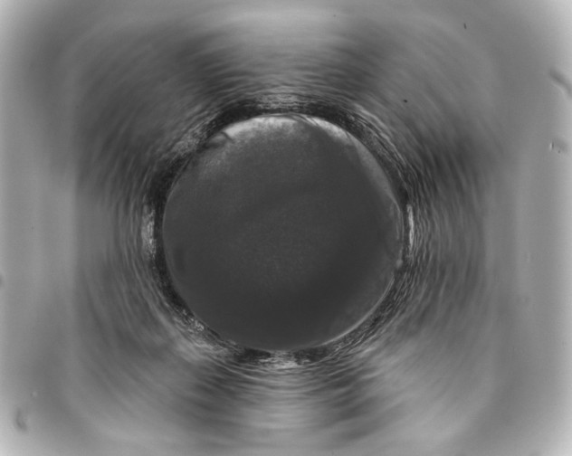 X0000094940267200712201121