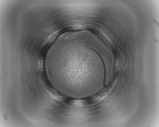 X0000094940268200712201121