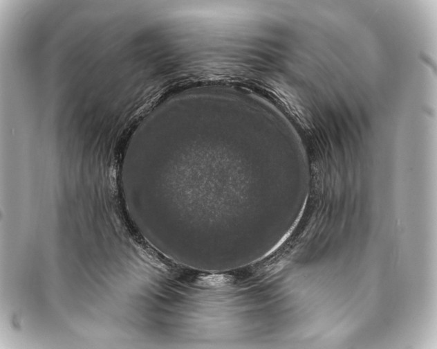 X0000094940269200712201121