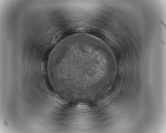 X0000094940270200712201121