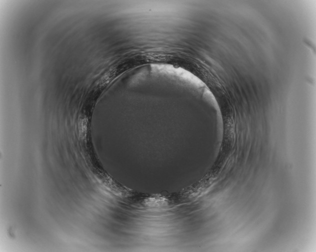 X0000094940271200712201121