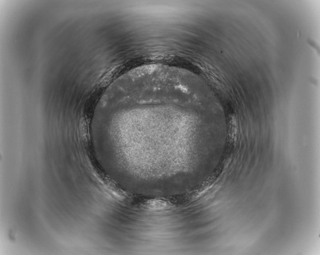 X0000094940272200712201121