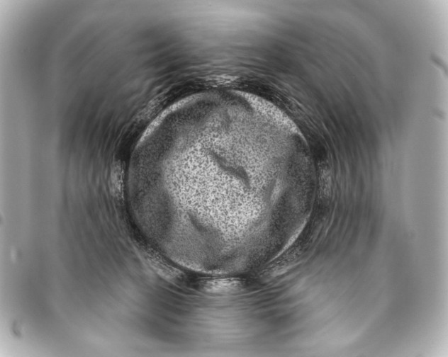 X0000094940274200712201121