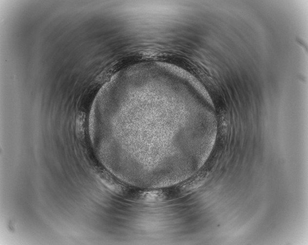 X0000094940275200712201121