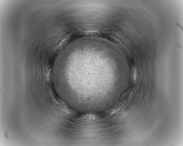 X0000094940276200712201121