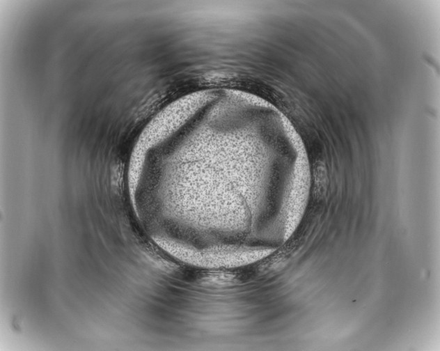 X0000094940278200712201121