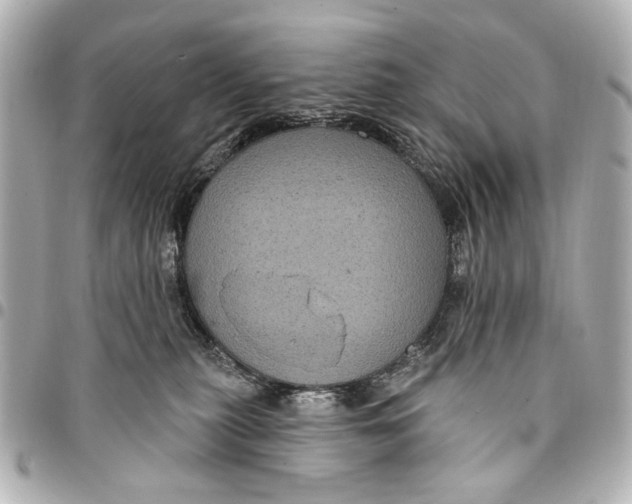 X0000094940279200712201121