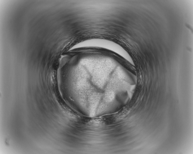 X0000094940280200712201121