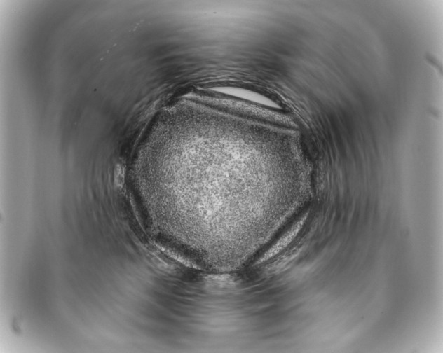 X0000094940281200712201121