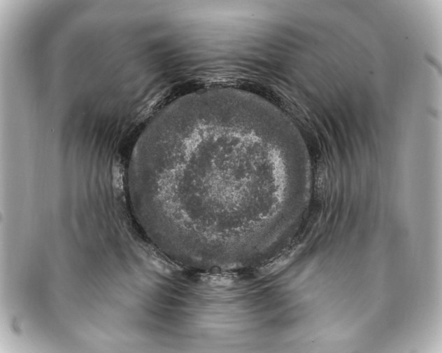 X0000094940282200712201121