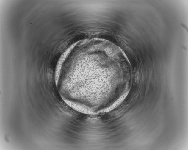 X0000094940283200712201121