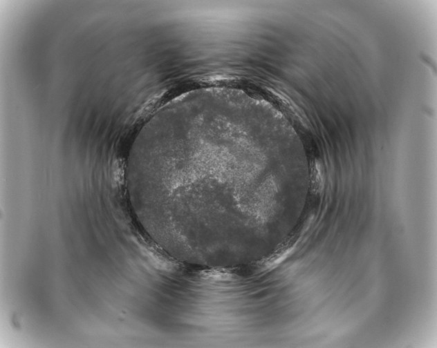 X0000094940284200712201121