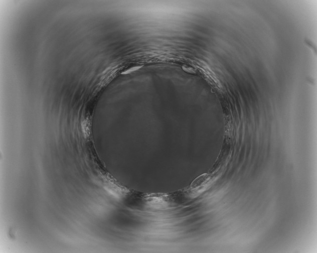 X0000094940285200712201121