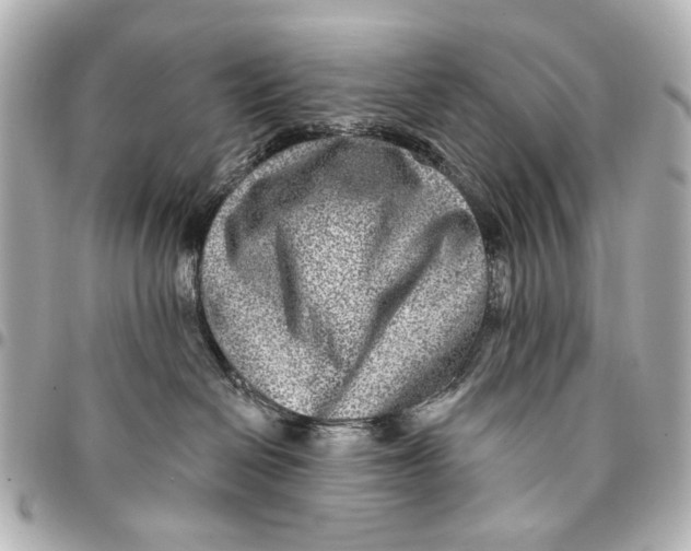 X0000094940286200712201121