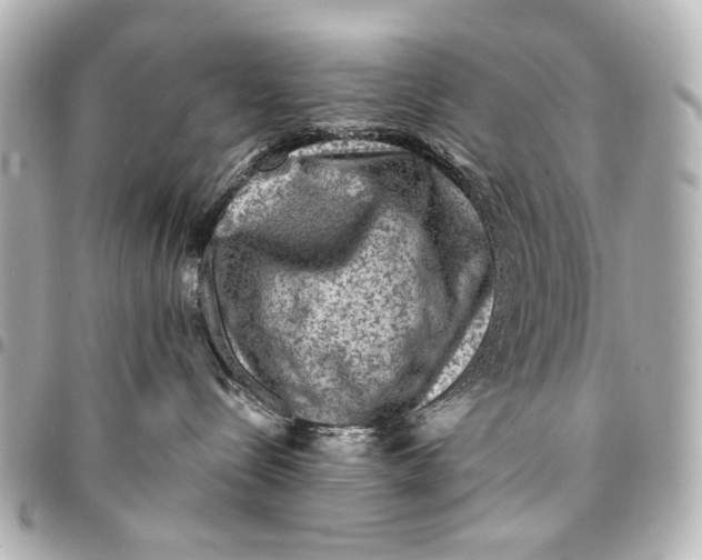 X0000094940288200712201121