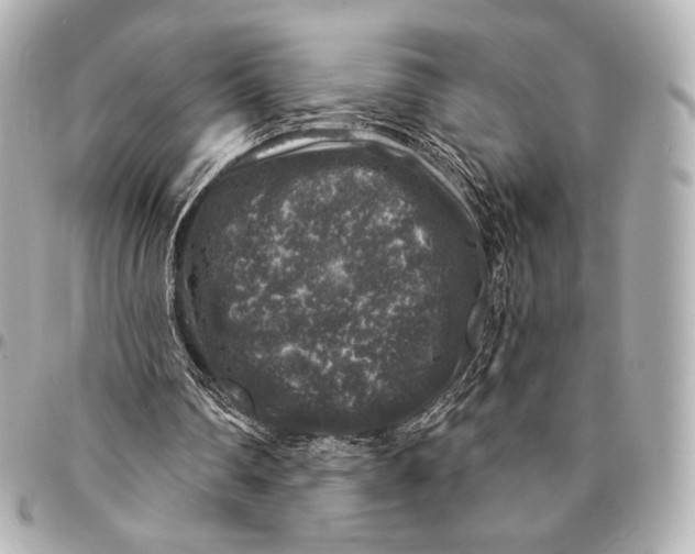 X0000094940290200712201121