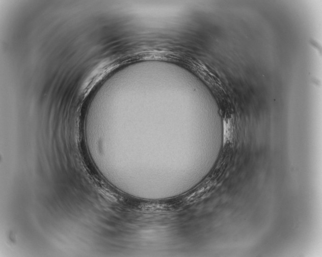 X0000094940291200712201121