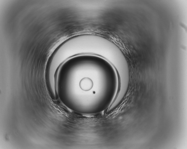 X0000094940292200712201121